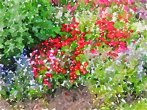 Painted in Waterlogue