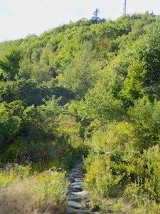 trail-head-at-blue-hill