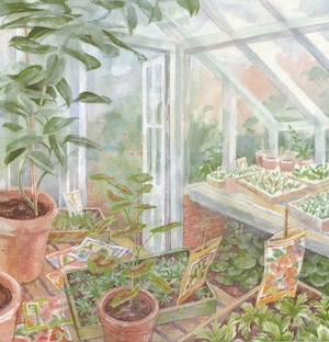 emilie-loring-greenhouse