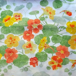 Nasturtium tablecloth
