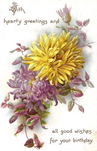 Chrysanthemum birthday card