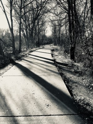 Winter path