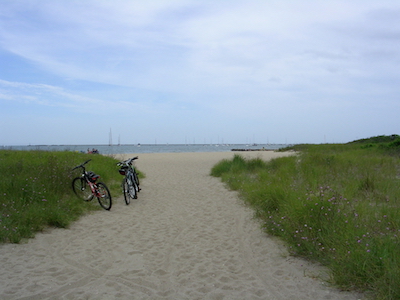 Cape Cod beach