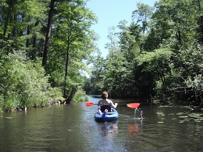 Mother of the Bride, Patti Bender