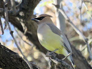 Never too old for photography