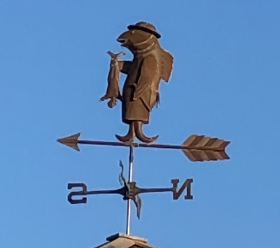 Catching a biography