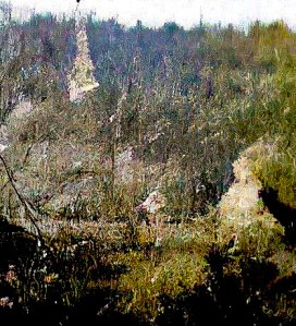 Fine detail in color