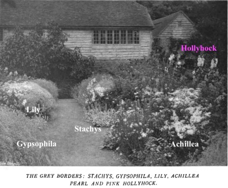 Flower identification