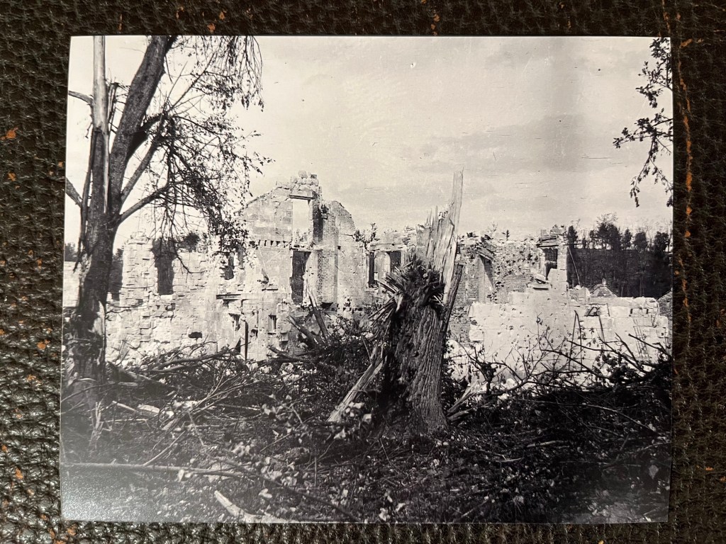Destroyed building and trees, WWI