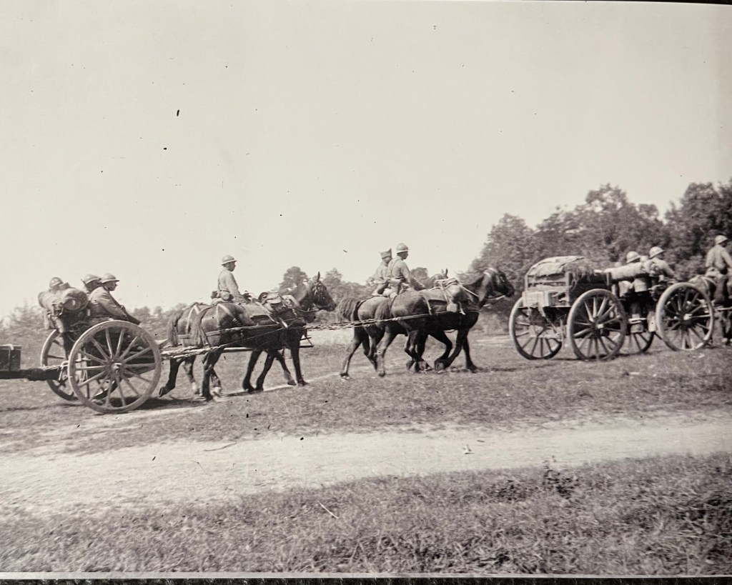 horse drawn artillery wagons
